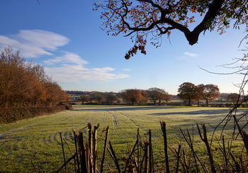 Derbyshire Winter field This landscape photograph captures a frosty winter morning in Tapton Park, located in Chesterfield, Derbyshire, United Kingdom. The main subject is a nature-filled Derbyshire winter field, where the grass is lightly coated in frost, and distinctive tracks run through the field. Trees with remaining autumnal leaves are dotted across the park, with some branches overhanging into the frame. The image shows the tranquil beauty of Chesterfield’s countryside within Tapton Park, as winter sets in and the morning sunlight illuminates the field and trees.